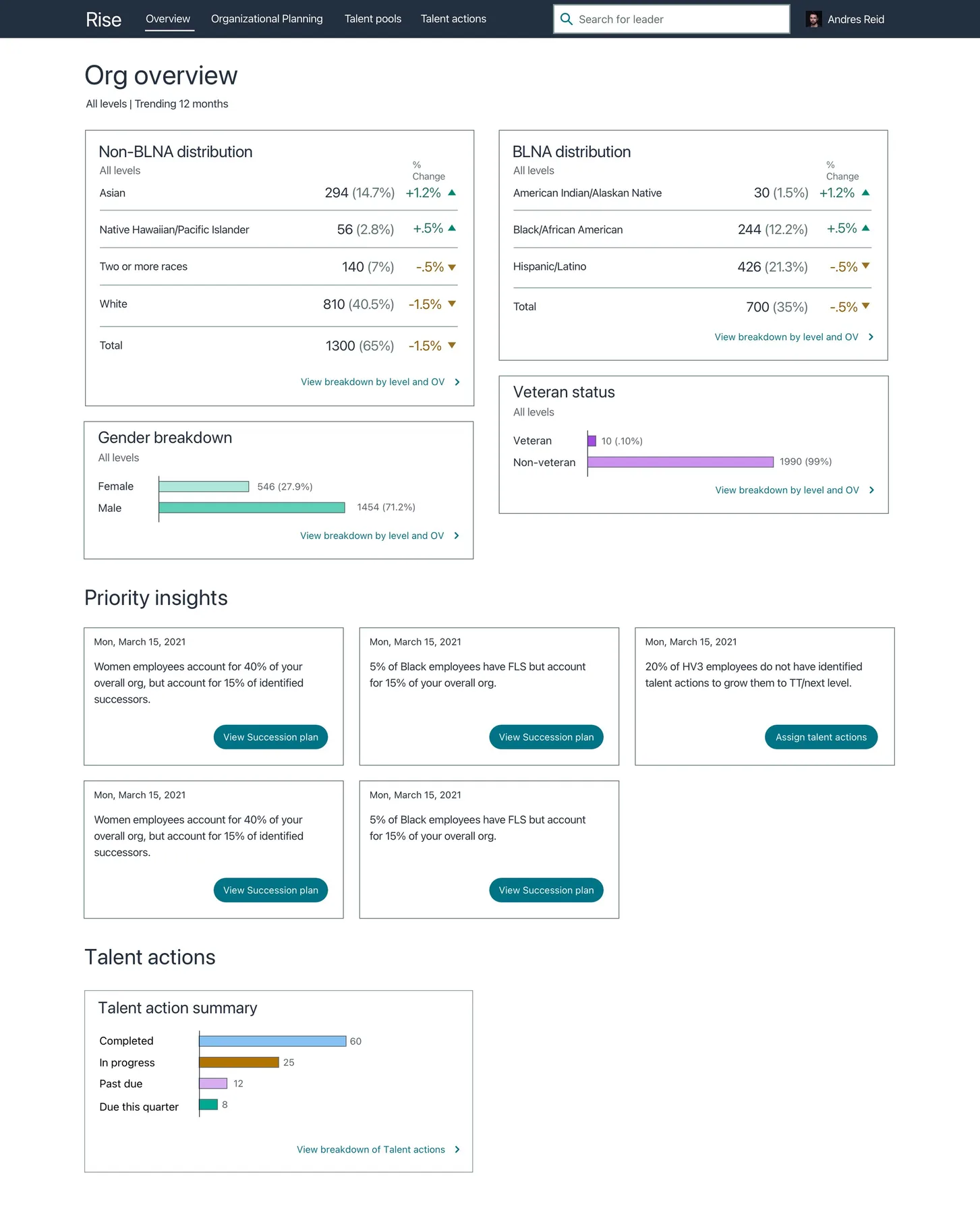 Rise dashboard overview