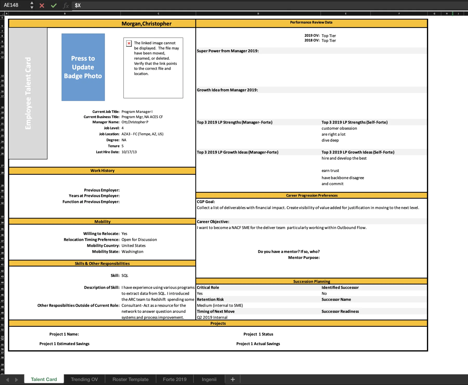 Talent profiles kept in Excel before the redesign